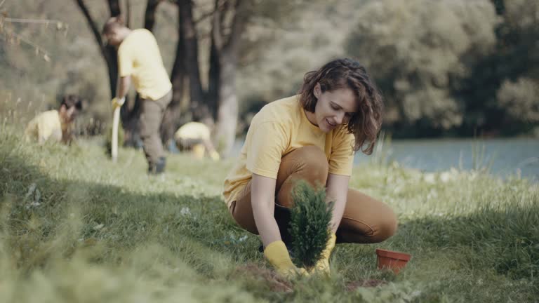 Best Lawn Renovation and Restoration  in Thousand Oaks, CA