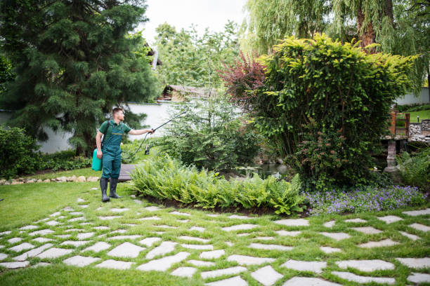 Reliable Thousand Oaks, CA Tree Services Solutions