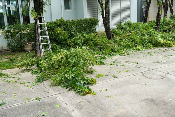 Seasonal Cleanup (Spring/Fall) in Thousand Oaks, CA