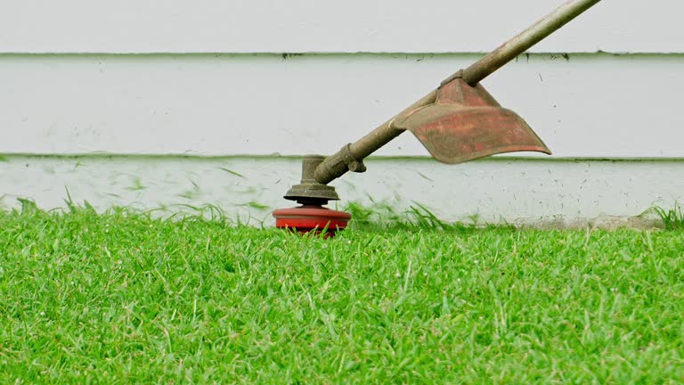 Best Lawn Disease Treatment  in Thousand Oaks, CA