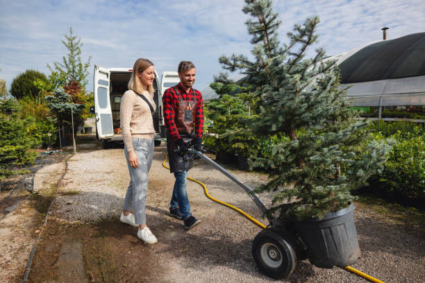 Best Arborist Consultation Services  in Thousand Oaks, CA